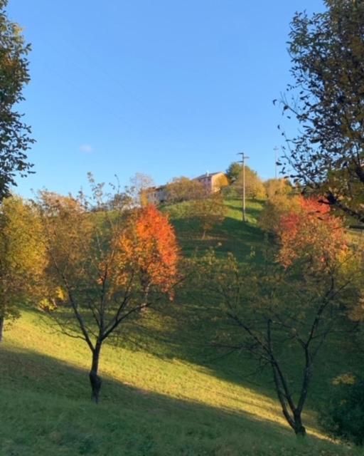 La Corte Di Cesio Monfumo Buitenkant foto